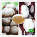 Natural Mangosteen Extract( A-mangostin and polyphenol) on sale